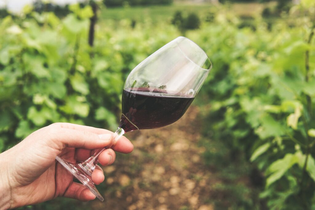 Şarap, yiyeceğe göre daha asidik olmalıdır